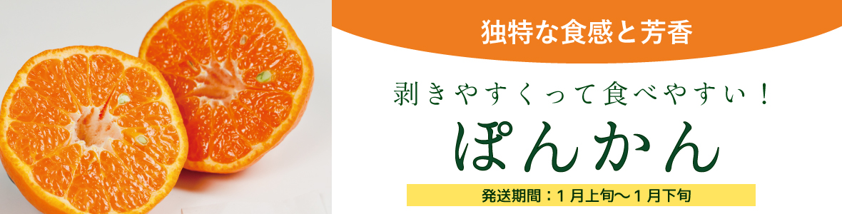 みかん産直 南の果樹園ニュウズ｜愛媛みかん・温州みかんの通販サイト