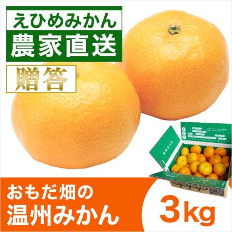 販売待ち | みかん産直 南の果樹園ニュウズ