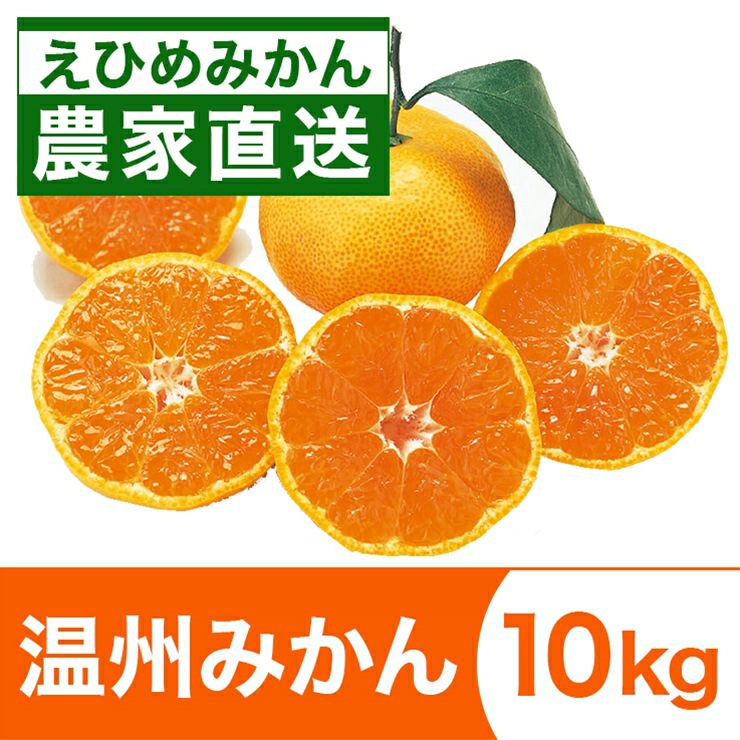 みかん産直 南の果樹園ニュウズ｜愛媛みかん・温州みかんの通販サイト