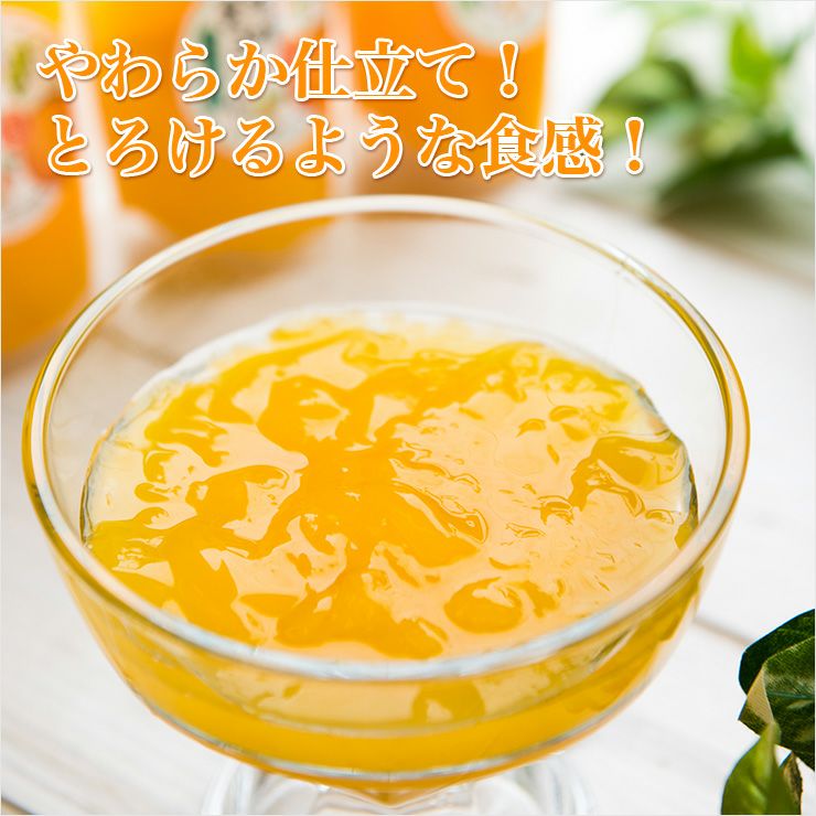 愛媛まるごとゼリー3種12個 | みかん産直 南の果樹園ニュウズ