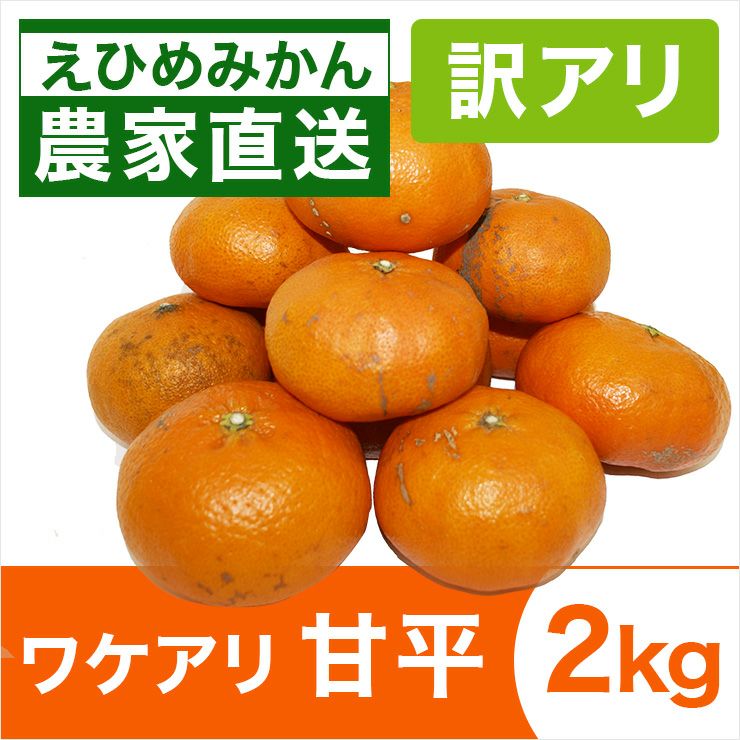 わけあり甘平2kg | みかん産直 南の果樹園ニュウズ