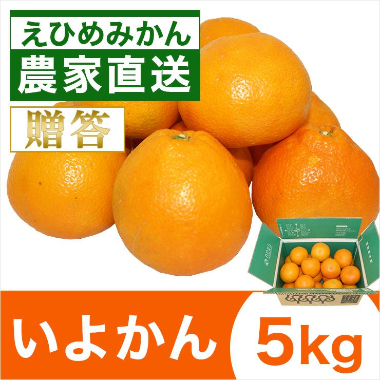 みかん産直 南の果樹園ニュウズ｜愛媛みかん・温州みかんの通販サイト