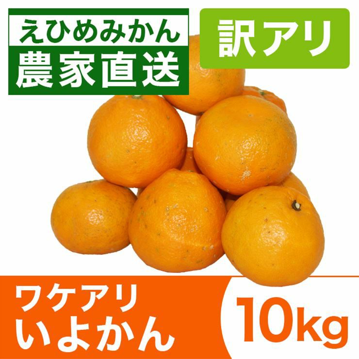 オジジパール柑４Ｌ以上20kg みかん産直 南の果樹園ニュウズ｜愛媛みかん・温州みかんの通販サイト