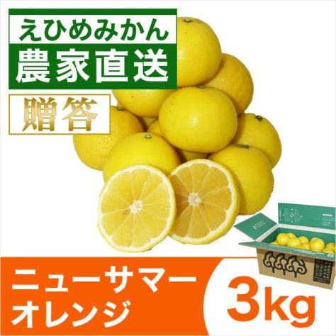 ニューサマーオレンジ | みかん産直 南の果樹園ニュウズ