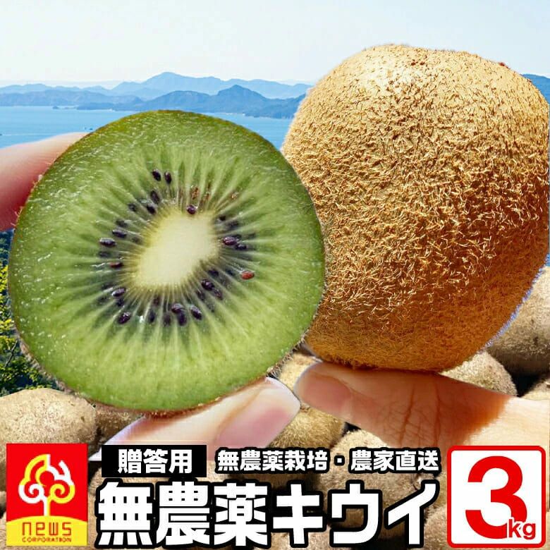 2（キュウイ売り切れ）ドライフルーツ ニス塗り ミモザ小分 クレイ 