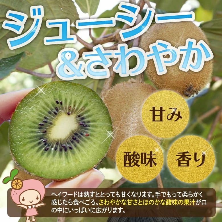 ぱるみん様・お得意様ご予約分キュウイフルーツ20Kg ぱるみん様・お得意様ご予約分キュウイフルーツ20Kg ぱるみん様・お