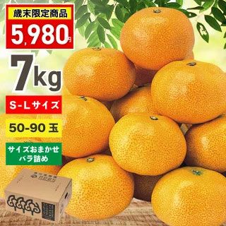 みかん産直 南の果樹園ニュウズ｜愛媛みかん・温州みかんの通販サイト