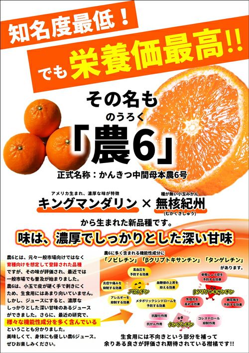 農六ジュース6本入り 【送料無料】（北海道・沖縄は500円） | みかん